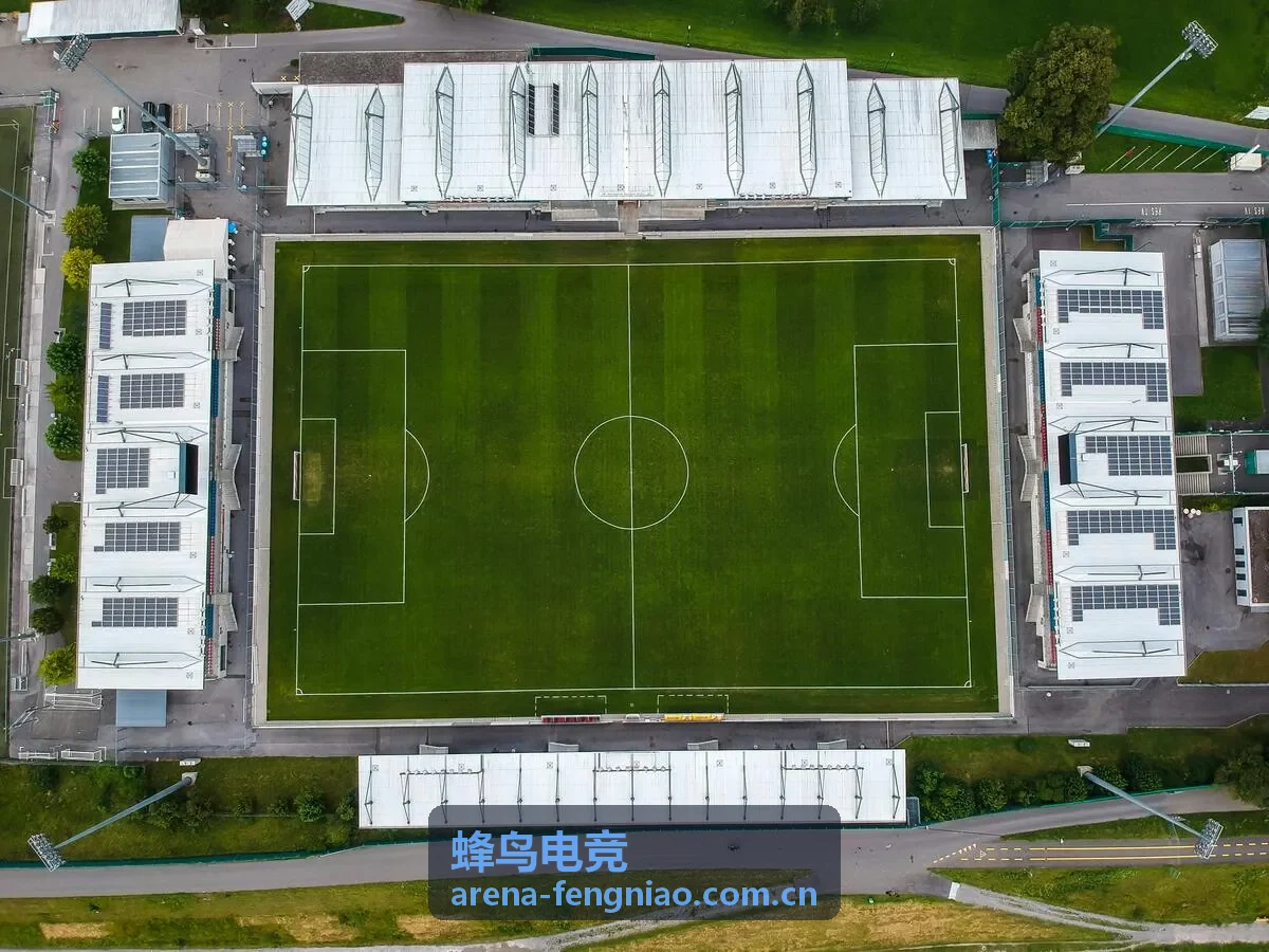 蜂鸟电竞玩家训练与比赛画面